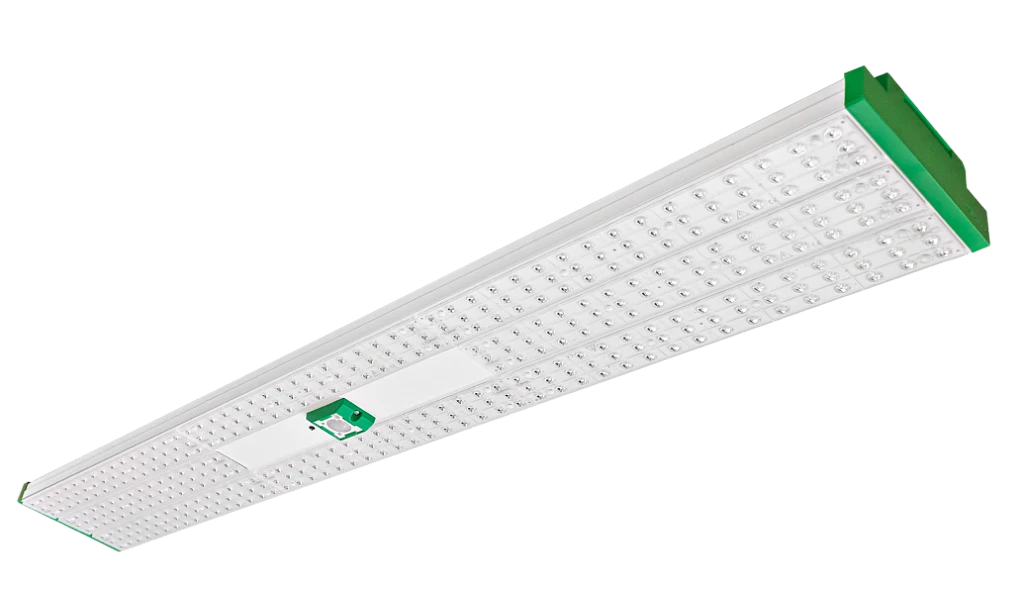 VERTECO 3 FEATURED