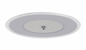 Elisian R44 and Emergency