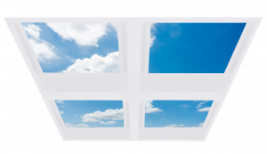 Mod Caelus Skylight Array