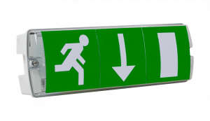 AME2 LED with AME ELK