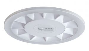 Rubini Large WW RAS