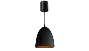 Dene, Black with Ceiling Rose - actual lead length 3M